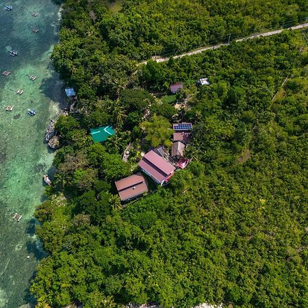 Weyh'S Studio #1 By The Ocean 100Mbps Panglao Εξωτερικό φωτογραφία