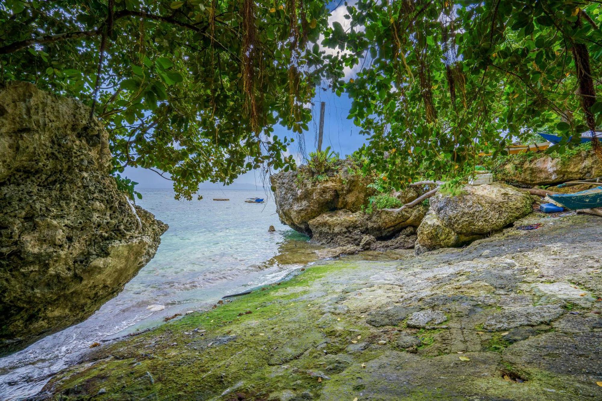 Weyh'S Studio #1 By The Ocean 100Mbps Panglao Εξωτερικό φωτογραφία