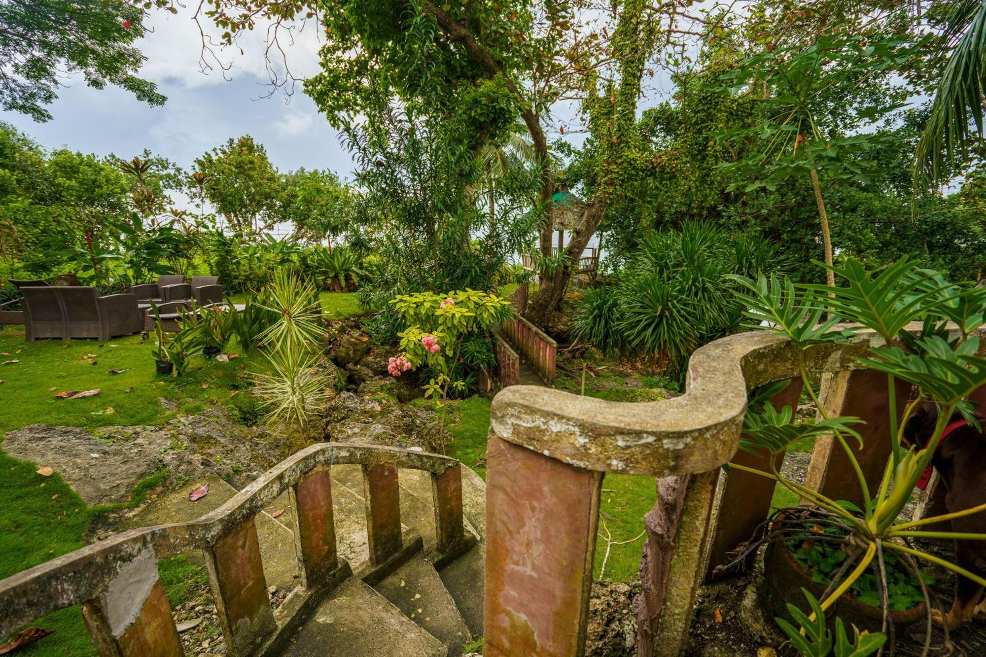 Weyh'S Studio #1 By The Ocean 100Mbps Panglao Εξωτερικό φωτογραφία