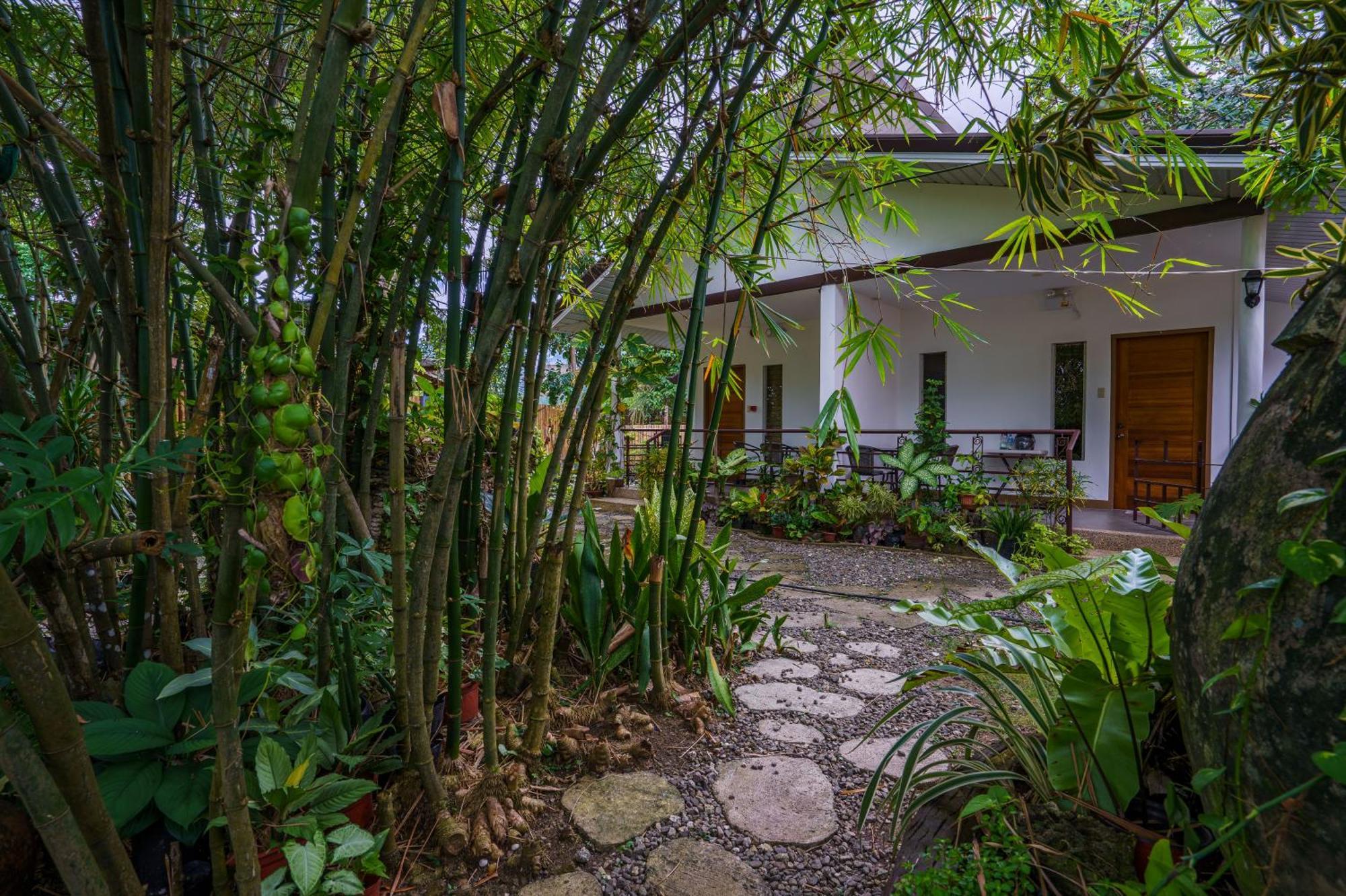 Weyh'S Studio #1 By The Ocean 100Mbps Panglao Εξωτερικό φωτογραφία