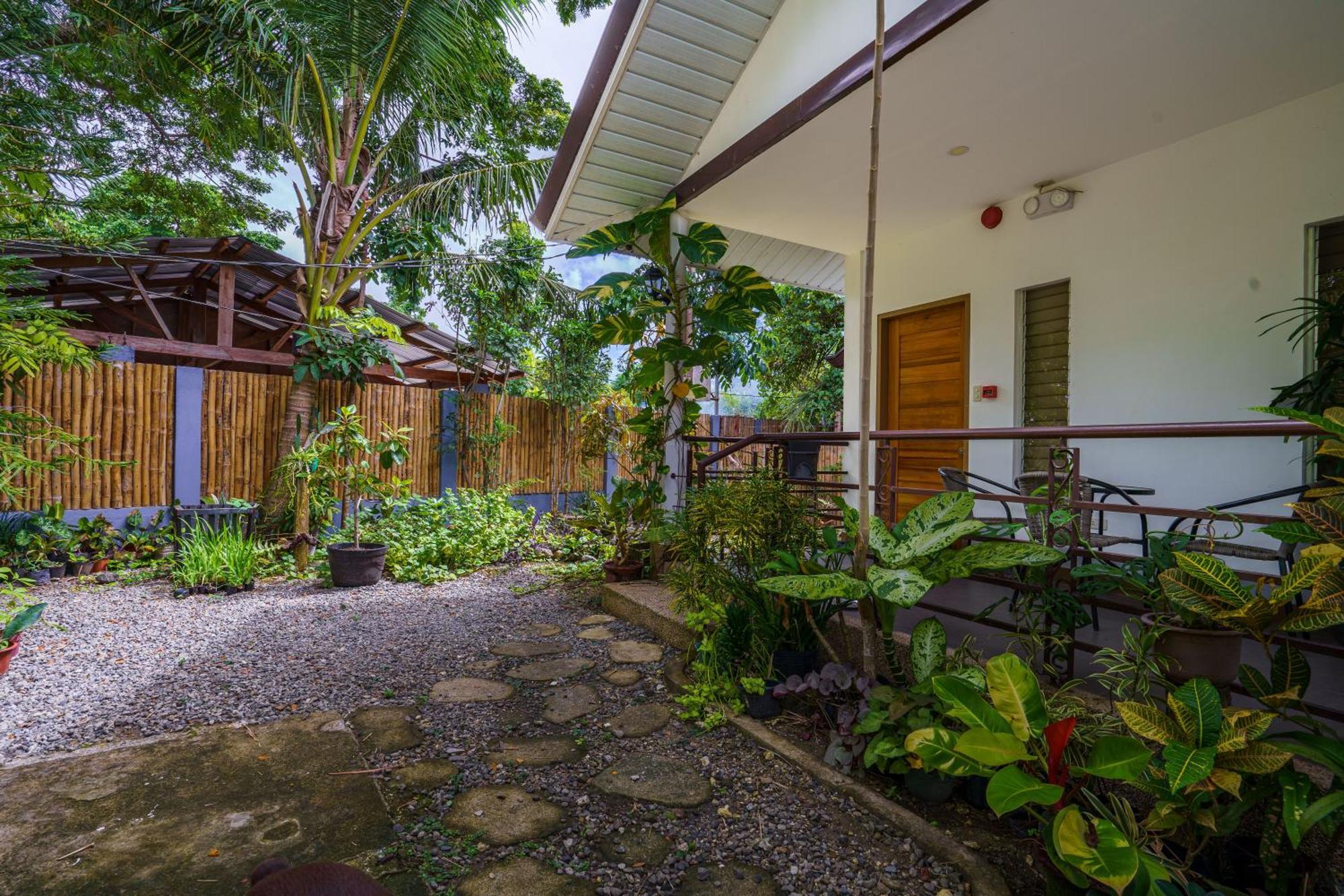 Weyh'S Studio #1 By The Ocean 100Mbps Panglao Εξωτερικό φωτογραφία