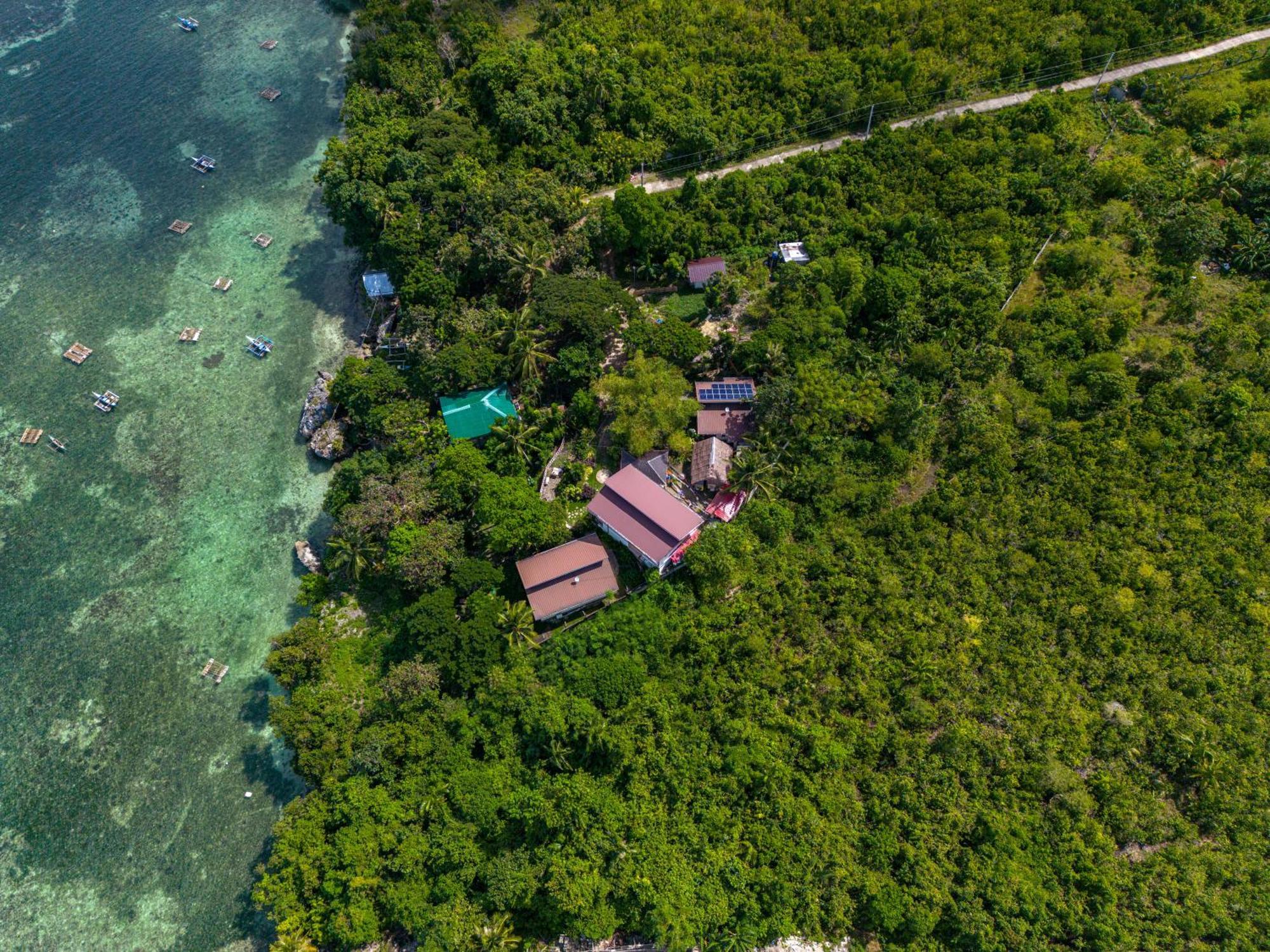Weyh'S Studio #1 By The Ocean 100Mbps Panglao Εξωτερικό φωτογραφία