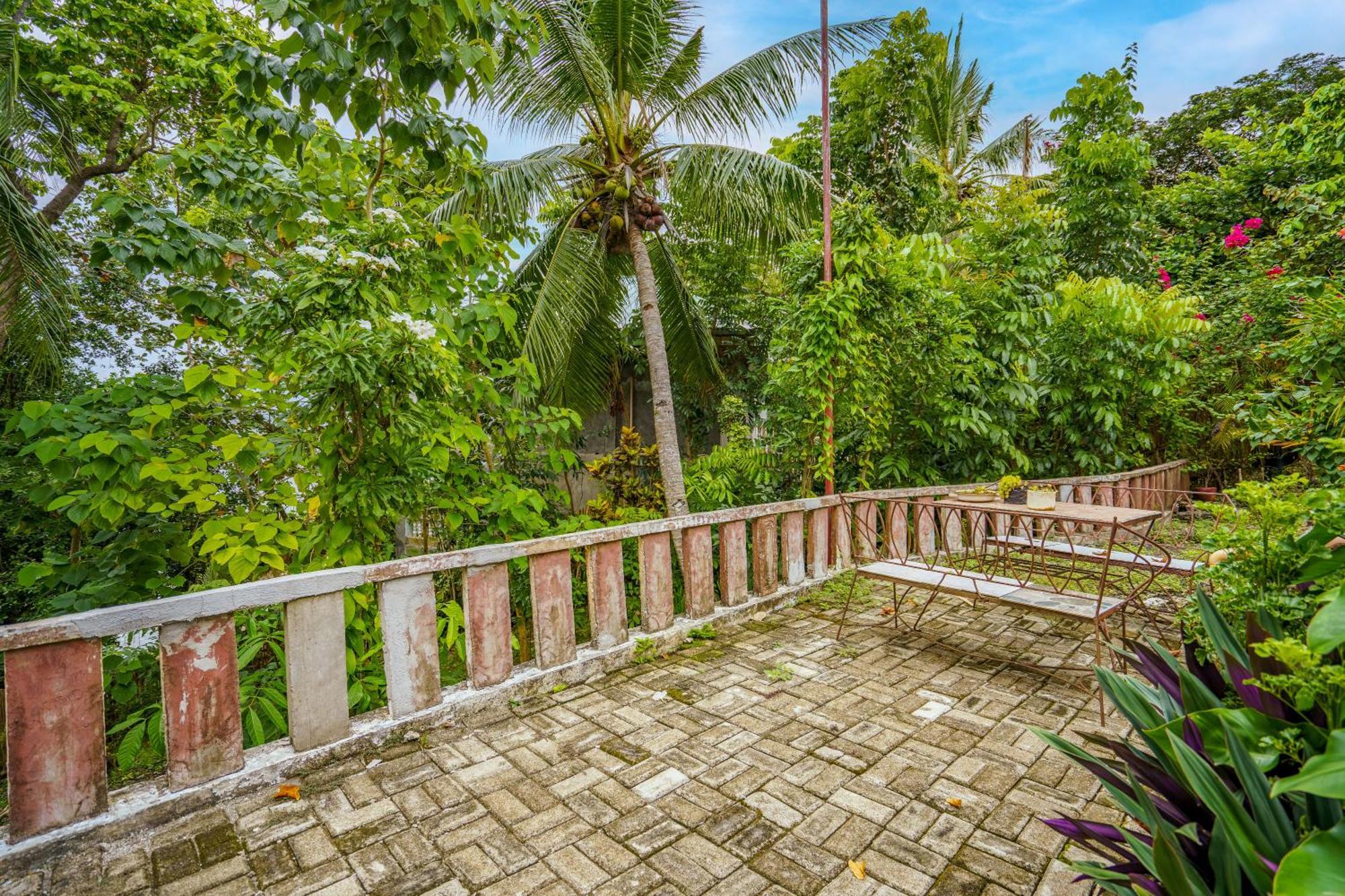 Weyh'S Studio #1 By The Ocean 100Mbps Panglao Εξωτερικό φωτογραφία