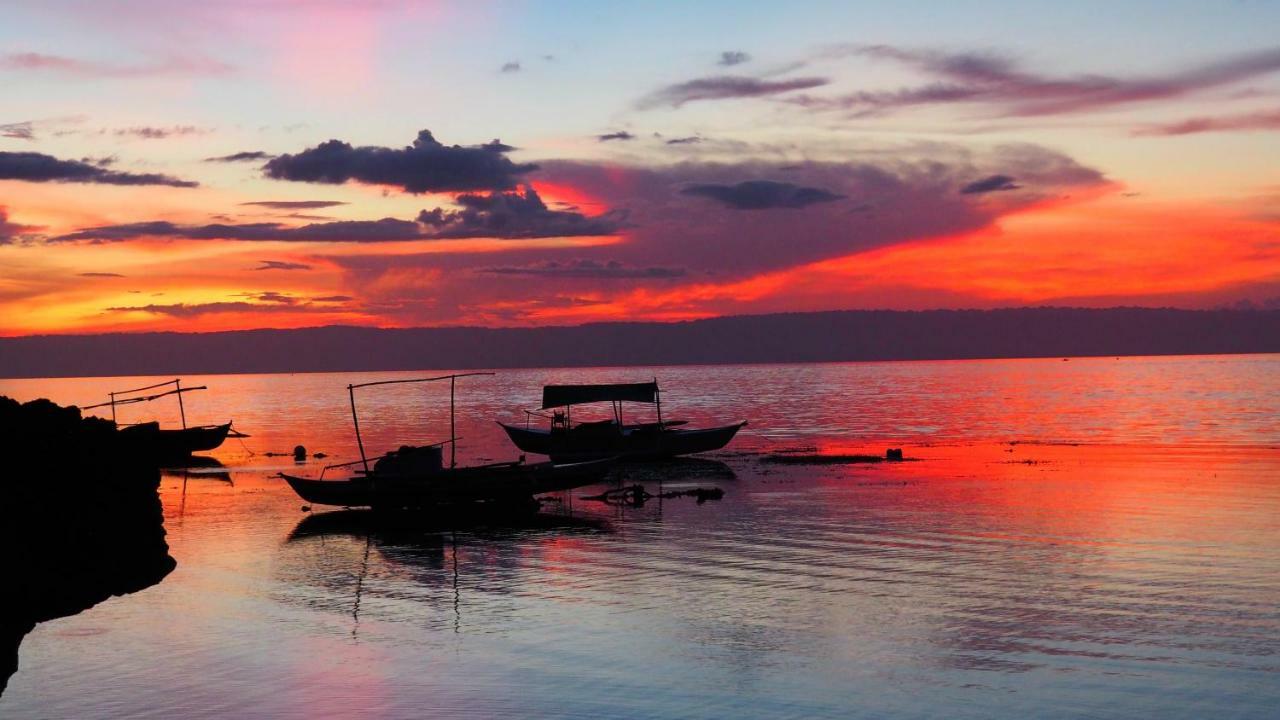 Weyh'S Studio #1 By The Ocean 100Mbps Panglao Εξωτερικό φωτογραφία