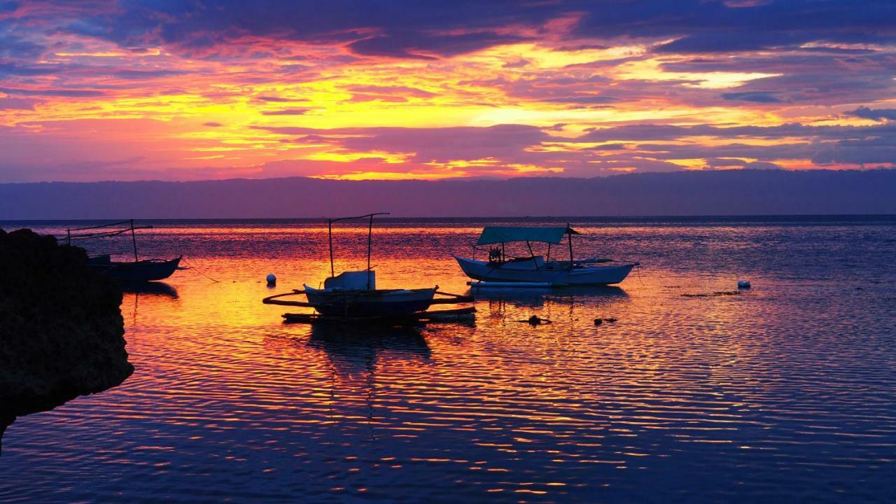 Weyh'S Studio #1 By The Ocean 100Mbps Panglao Εξωτερικό φωτογραφία